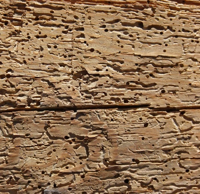 Tratamientos de la madera